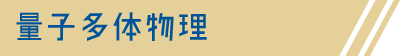 量子多体物理