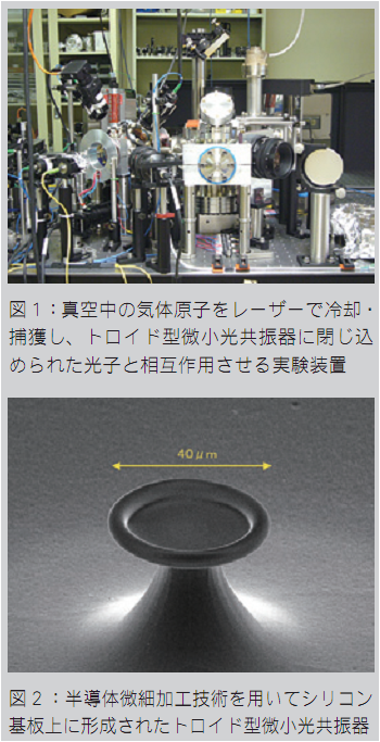 研究内容ダミー１